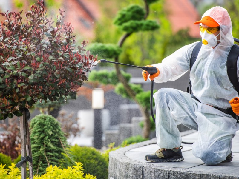 Köprübaşı Haşere İlaçlama